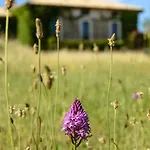 Casa Sarasa Casa rural