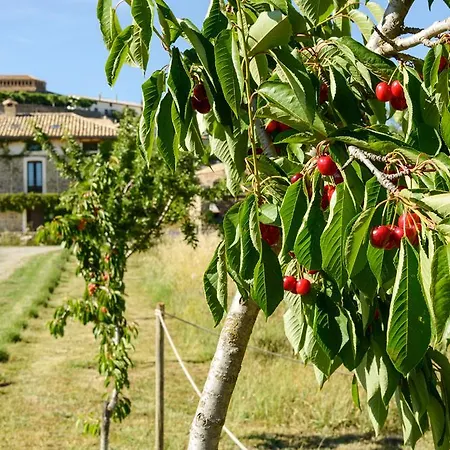 Casa Sarasa Séjour à la campagne *
