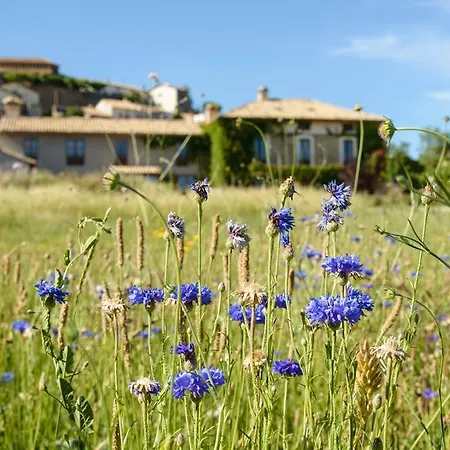 Séjour à la campagne Casa Sarasa *