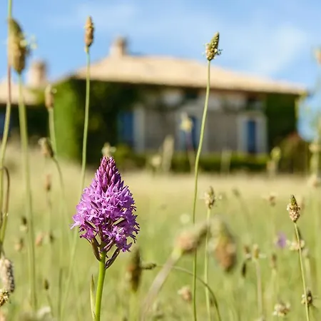 Séjour à la campagne Casa Sarasa Berdun