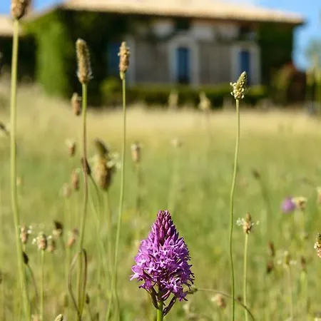 Casa Sarasa Country house