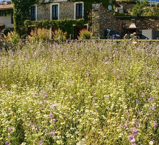 Casa Sarasa Casa rural