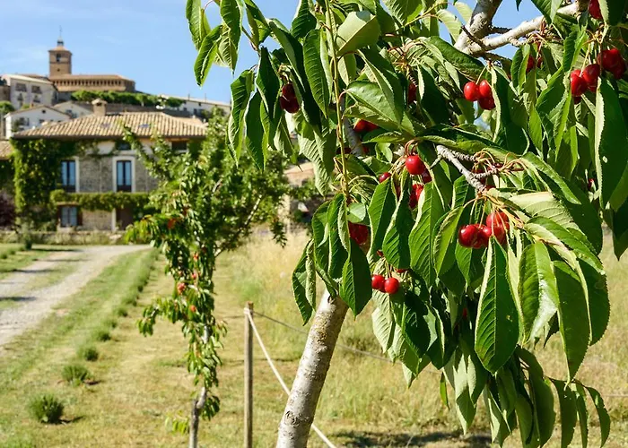 Casa Sarasa Casa rural *