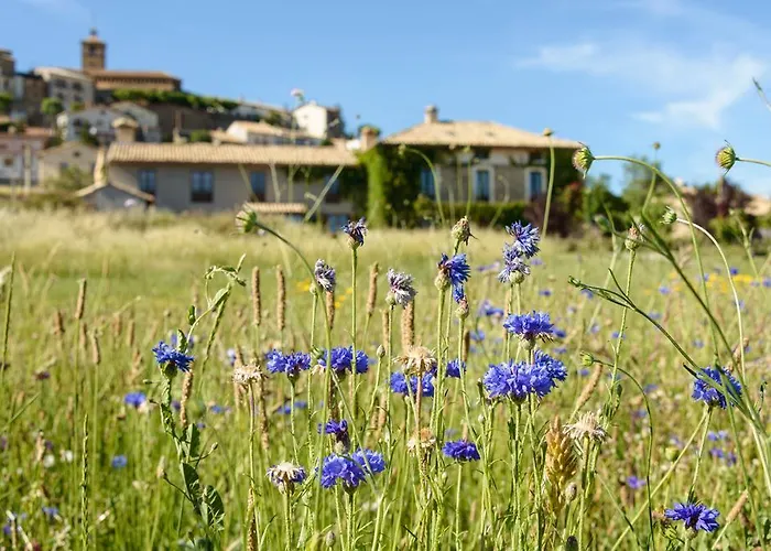 Casa rural Casa Sarasa *