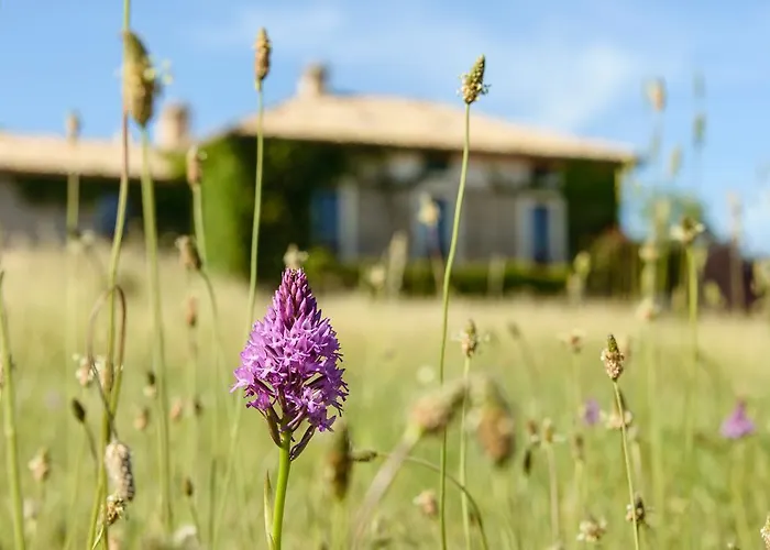 Casa rural Casa Sarasa Berdun