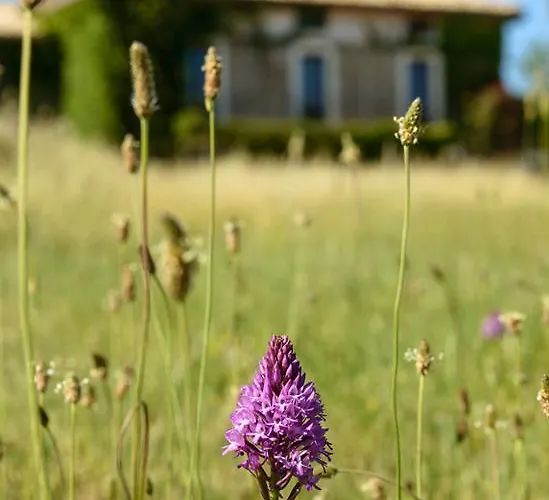 Casa Sarasa Casa rural
